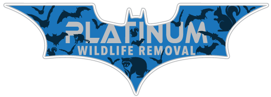 Stanton Animal Removal